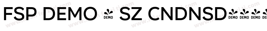FSP DEMO - Sz Cndnsd字体转换